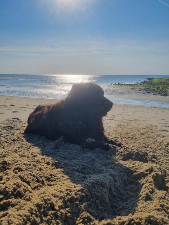 Meerblick Wattenmeer ,50M Vom Meer,Strand 300M Westerland Bagian luar foto