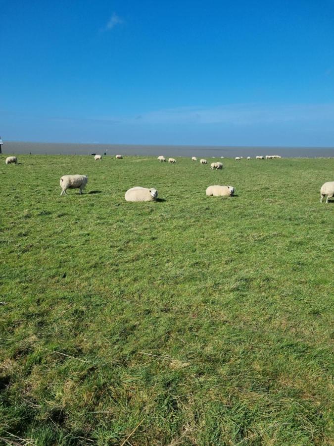 Meerblick Wattenmeer ,50M Vom Meer,Strand 300M Westerland Bagian luar foto